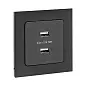 Стокгольм Механизм Розетки USB 2-местной 2,1А черный EKF PROxima