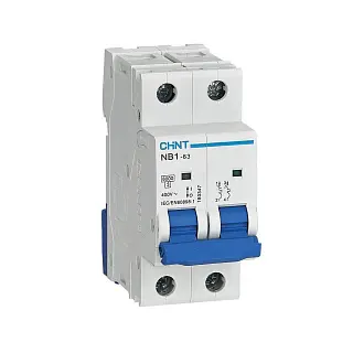 Авт. выкл. NB1-63 2P 25A 6кА х-ка C (DB) ®,Chint