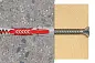 Дюбель распорный DUOPOWER 8х40 (упак. 100шт) Fischer