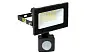 Прожектор светодиодный СДО-3003 с инфракрасным датчиком движения 30Вт 6500К IP54 EKF