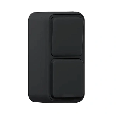 Блок: розетка и выкл., 1кл., проходной ОП винт. клеммы антр. Бронто EKF