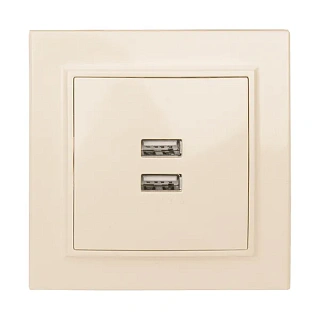 Минск Розетка USB 2-мест. СП 2,1А беж. EKF