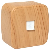 Минск Розетка RJ-45 1-местная ОП, 1А, 120В, светлое дерево EKF